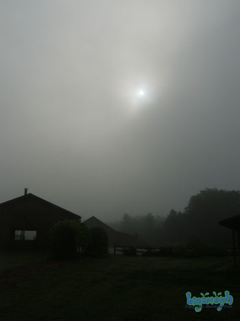 fog sun